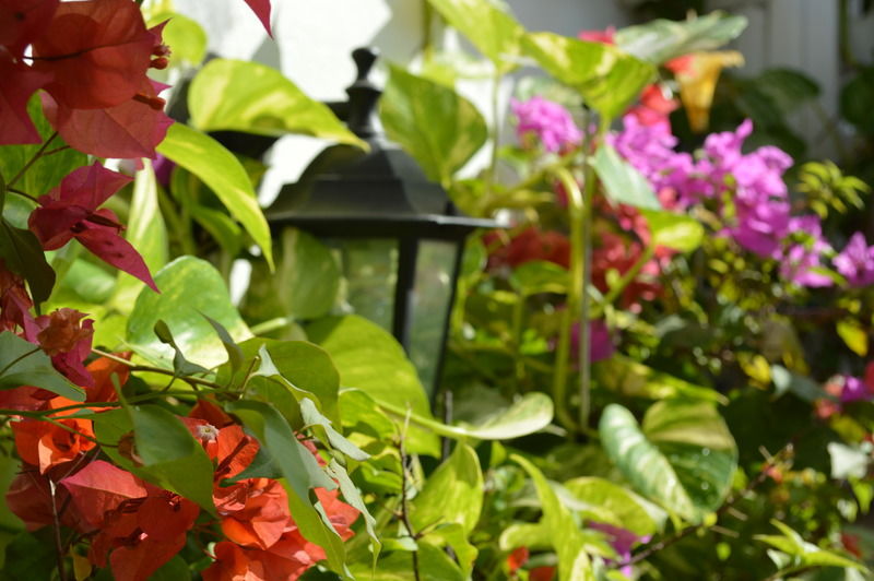 Cartagena Casa Mary酒店 外观 照片